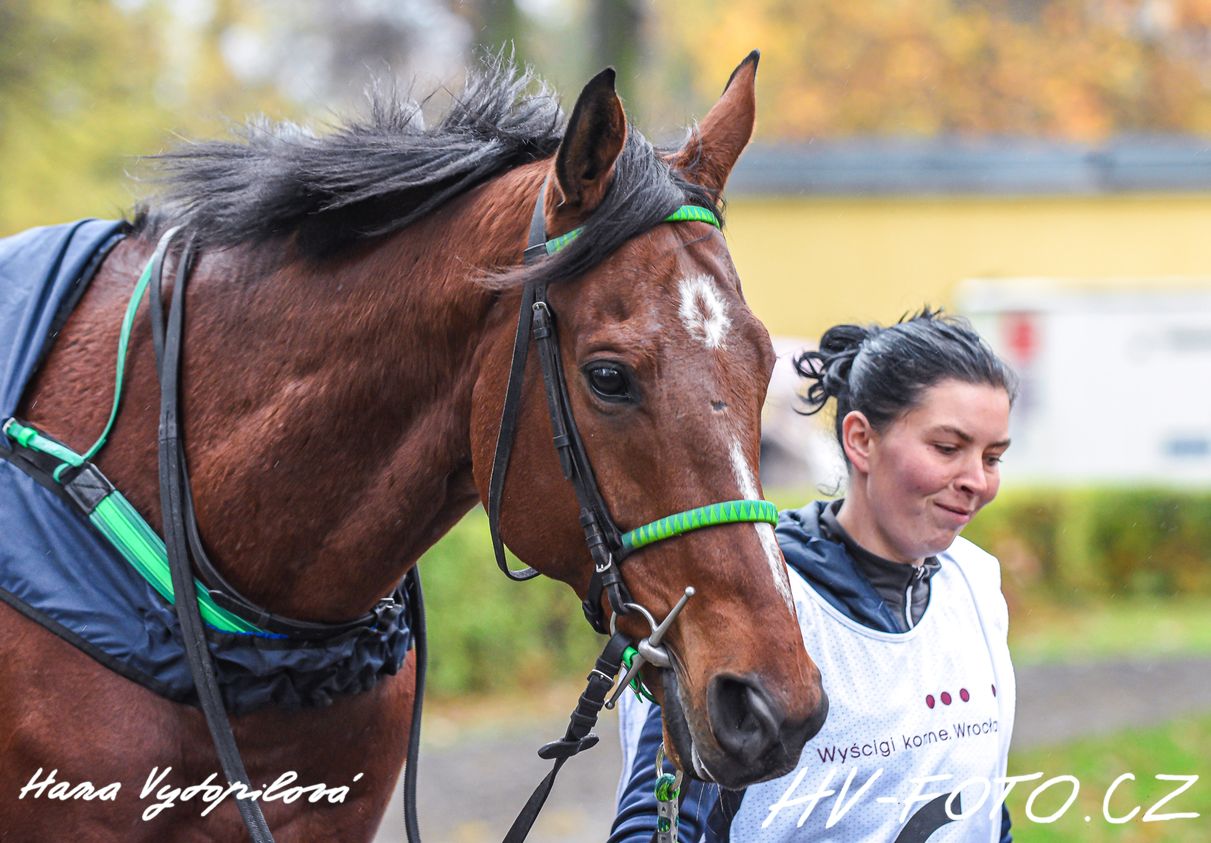 DSC_6176 kopie.jpg